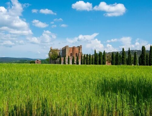 Le tre gemme della regione Toscana : Firenze, Arezzo e Viareggio